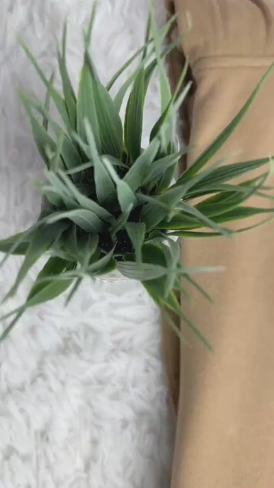 Custom Coloured Portrait Sweater